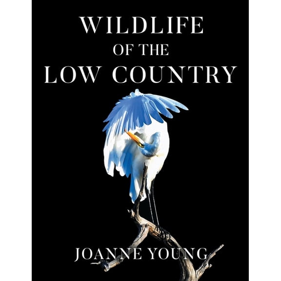 Wildlife of the Low Country, (Paperback)
