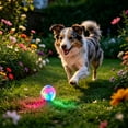 thumbnail image 4 of Interactive Light Up Dog Toy Ball with Bouncing Sound and Flashing LED for Cats and Small Medium Pets Durable TPR Indoor Outdoor Chew Dog Toy, 4 of 5