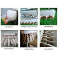 thumbnail image 3 of Tétines pour Boisson d'Agneau Bétail Lait Seau d'Alimentation 12 Tétines Alimentation Animale Long2, 3 of 9