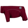 thumbnail image 1 of Trespaws Veste pour Chien en Polaire Extensible Réfléchissante Couvrant Tout le Corps Rickie, 1 of 2