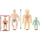 thumbnail image 2 of Figura Super Impulse The Original Stretch Armstrong Tan de 18 cm, 2 of 6