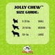 thumbnail image 3 of Juguete Hueso Jolly Pets Azul 8 Pulgadas, 3 of 5