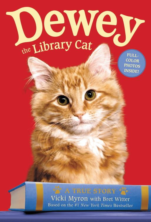 dewey cat book dewey cat book