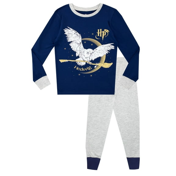 Harry Potter Girls Hedwig Pajamas Gray Size 6