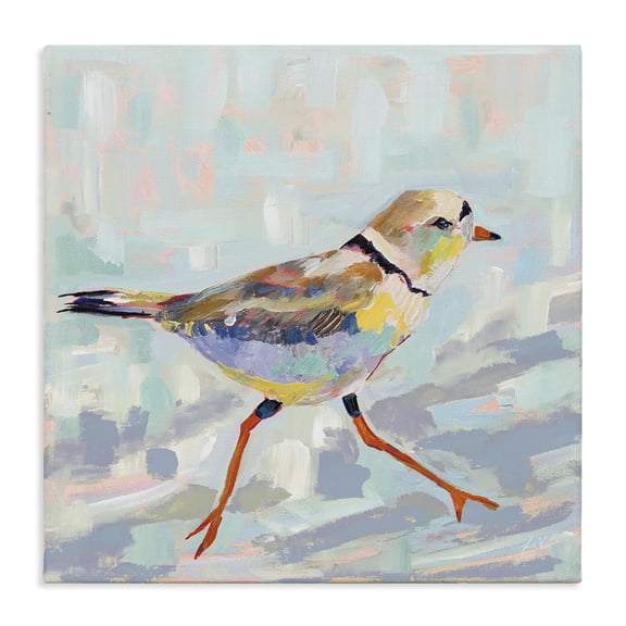 Stupell Industries Coastal Coastal Plover Abstract Bird Canvas Art, 36 x 36, by Jeanette Vertentes