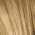 thumbnail image 2 of Schwarzkopf Professional Igora Zero AMM Ammonia-Free Permanent Color Creme - 9-00 Extra Light Blonde Natural, 2 of 3