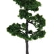 thumbnail image 1 of Modelo de árbol Pinus 12 arquitectura de ferrocarril Dioram para manualidades o modelos de construcción Baoblaze árboles en miniatura, 1 of 6