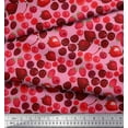 thumbnail image 2 of Soimoi Cotton Jersey Fabric Raspberry,Strawberry & Cherry Fruits Print Sewing Fabric Yard 58 Inch Wide, 2 of 3