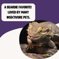 thumbnail image 3 of Supergusanos liofilizados Fluker's 48 g para reptiles, 3 of 6