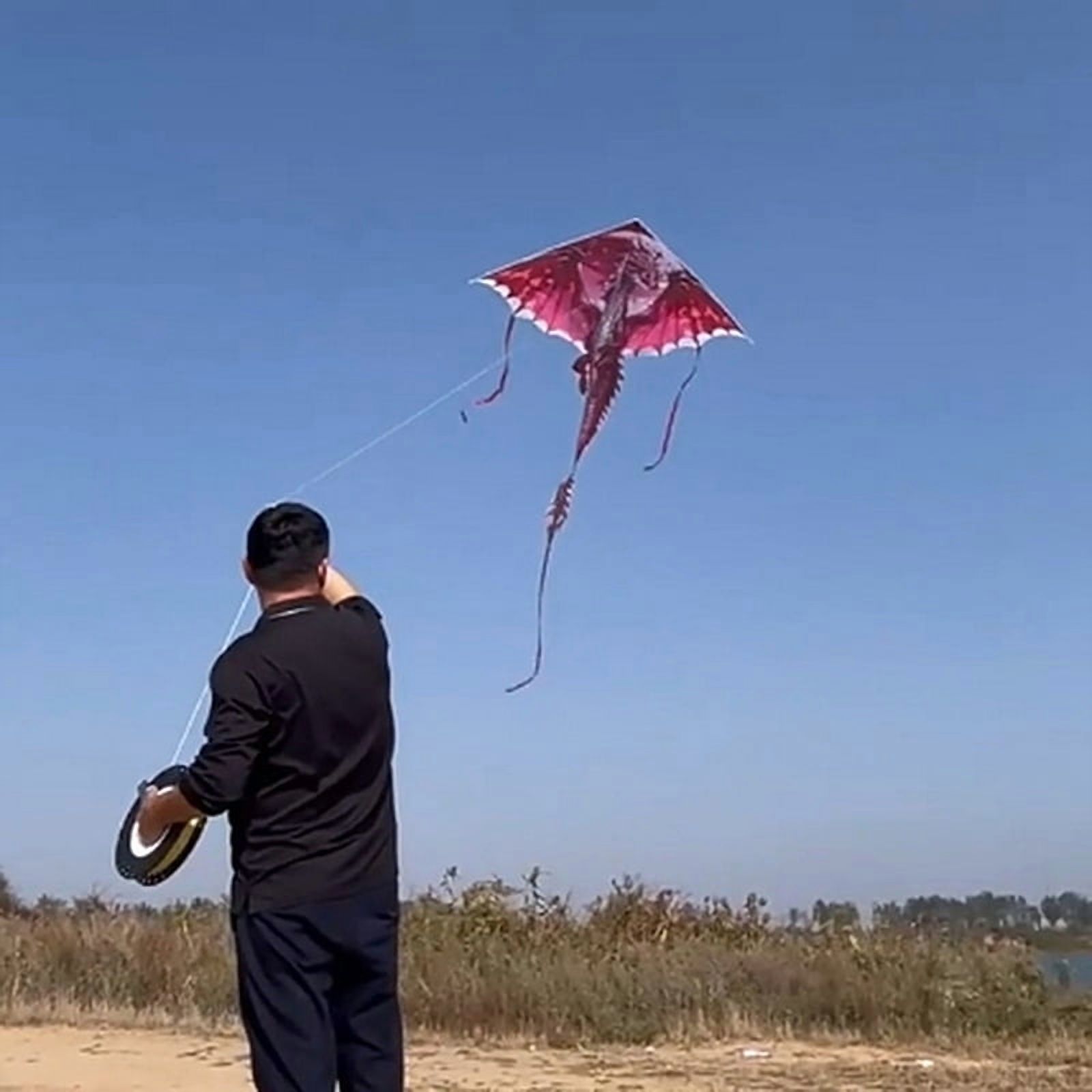 1 Piece 1.4M Large Dragon Kite For Kids And Adults Huge Pterosaur Kite Come Tail Easy To Fly Kites Outdoor Toy
