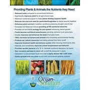 Ocean Solution Organic Fertilizer - 1 gallon