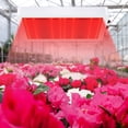 thumbnail image 3 of Green Led Lights Led Light Lamp Led Plant Light Board Plant Growth Light Succulent Potted Plant Light Led 216 Bead Uk Specifications Planting Light Greenhouse Plant Light Led Plant Lights, 3 of 5