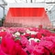thumbnail image 3 of Lámpara de crecimiento de plantas de tablero Lámpara para plantas suculentas en macetas LED 216 Especificaciones del Reino Unido Lámpara para plantar Lámpara para plantas de invernadero Akmoler, 3 of 9