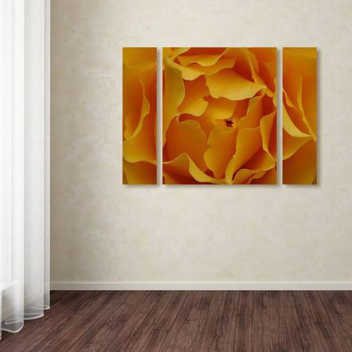 Kurt Shaffer "Hypnotic Yellow Rose" Multi Panel Art Set