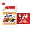 thumbnail image 3 of (2 pack) Spectracide Weed & Grass Killer, Use On Patios, Walkways and Driveways, 1 gal., 3 of 15
