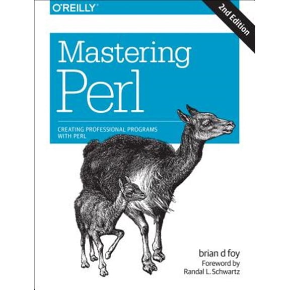 Pre-Owned Mastering Perl: Creating Professional Programs with Perl (Paperback)