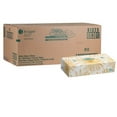 thumbnail image 1 of White Swan® Facial Tissues, White, 2-Ply, 100 Tissues/Box, 30 Boxes/Case, 1 of 2