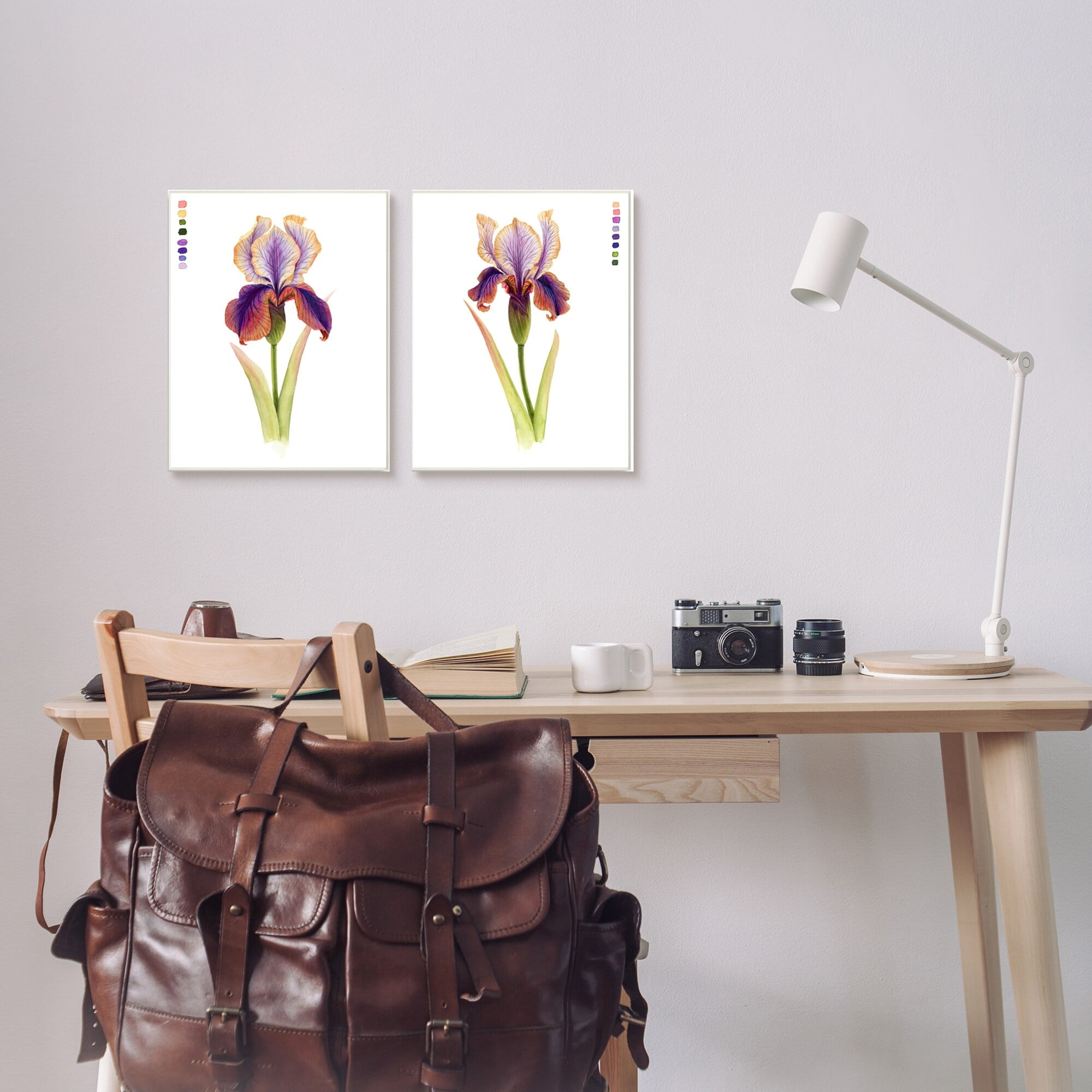 Stupell Industries Orange Purple Iris Flower with Color Key Black Framed by Grace Popp