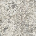 thumbnail image 6 of SAFAVIEH Mirage Goran Floral Bordered Area Rug, Charcoal/Cream, 6' x 9', 6 of 7