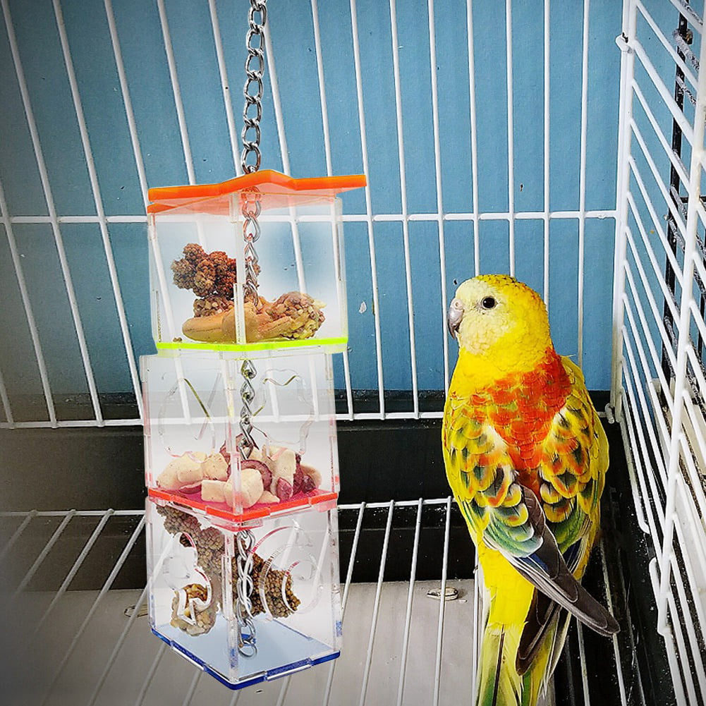 for Pet Store Parakeets Birds AMONIDA Removable Bird Hanging Foraging Toy Acrylic Material Bird Hanging Forage Box 9.1x2.2x2.2in Chewing and Biting Toy