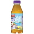 thumbnail image 4 of Nantucket Nectars Orchard Apple Juice, 15.9 fl oz, Bottle, 4 of 5