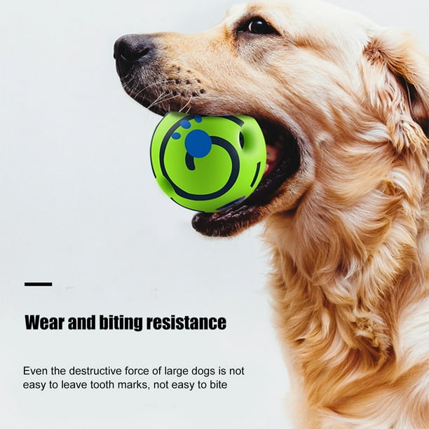 Luna ball for dogs hotsell
