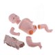 thumbnail image 1 of Kit de muñeca Reborn Muñeca de silicona para bebé recién nacido de 19 "con extremidades completas + medio cuerpo + conjunto de cuerpo de tela Magideal Kit de muñeca Reborn, 1 of 7