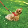 thumbnail image 3 of Ultrahund Freedom No-Pull Harness Small Orange, 3 of 4