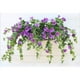 thumbnail image 4 of Glorias de La Mañana Artificiales, Flores Artificiales para Coral de Interior y Exterior, Colores Brillantes, Pétalos de Seda Realistas, No Necesitan Luz Solar Ni Agua, Perfectas para El Día de La Ma, 4 of 5