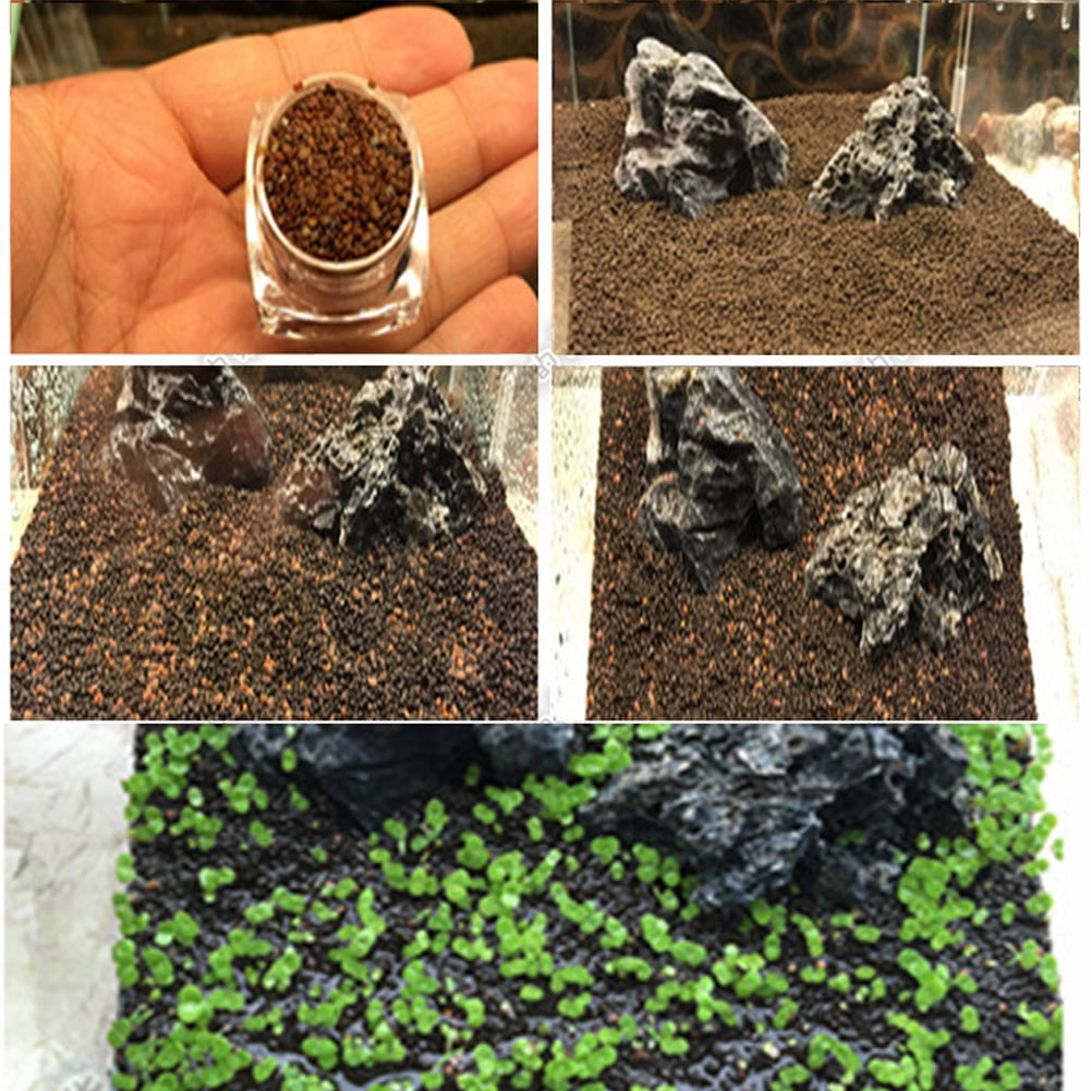 one bag aquatic seed fish tank landscaping water grass seeds without