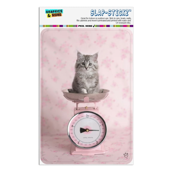 Siberian Cat Kitten Tipping The Scale Home Business Office Sign