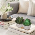 thumbnail image 4 of Pequeñas suculentas artificiales, Juego de 4 plantas suculentas de imitación, decoración para el hogar moderno, mesa, oficina, escritorio, estante de baño, decoración, 4 of 5