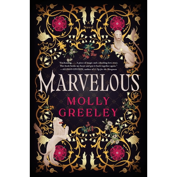 Pre-Owned Marvelous: A Novel of Wonder and Romance in the French Royal Court (Paperback) 0063244101 9780063244108