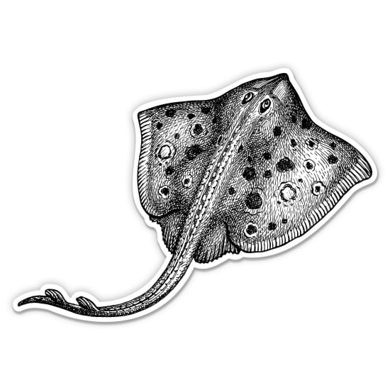 Stingray Vintage Style - 3" Vinyl Sticker - For Car Laptop Water Bottle Phone - Waterproof Decal