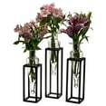 thumbnail image 1 of Danya B. MC025-C Amphorae Vases On Square Tubing Metal Stands - Set 3, Clear, 1 of 5