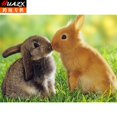 thumbnail image 1 of 30x40cm 5D Rhinestone Painting Set Lightweight Animal Lightweight and Portable Painting Kit Exquisite Picture Embroidery DIY Craft Children Adult, 1 of 8