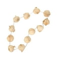 thumbnail image 6 of Daolelai Garlic Necklace Party Supplies, 6 of 9