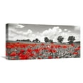 thumbnail image 1 of Global Gallery Frank Krahmer,'Poppies and vicias in meadow, Mecklenburg Lake District, Germany' Stretched Canvas Artwork, 1 of 3