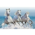 thumbnail image 2 of Tervis Triple Walled White Horses Insulated Tumbler Cup Keeps Drinks Cold & Hot, 20oz, Stainless Steel, 2 of 8