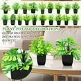thumbnail image 3 of Simulation Green Plant Potted Ornament - Artificial Ardisia Humilis with Black Square Pot, Low-Maintenance Faux Foliage for Indoor Desktop, Office Shelf, Living Room Decor, 3 of 3