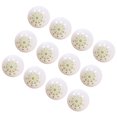 thumbnail image 2 of 12pcs Shoe Fresheners Balls Shoe Deodorizers Sneaker Air Freshener Deodorizing Balls, 2 of 5