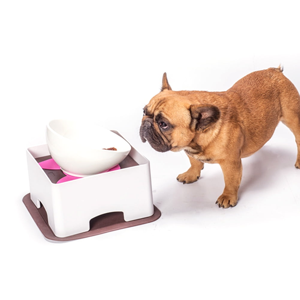 Pug Dog Ate Puppy Pad Cute Pug Dog Eating A Hot Dog Kawaii Pug Fun