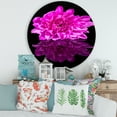 thumbnail image 2 of Designart 'Single Purple Chrysanthemum Flower On Black Reflection' Traditional Circle Metal Wall Art 29x29 - Disc of 29, 2 of 5