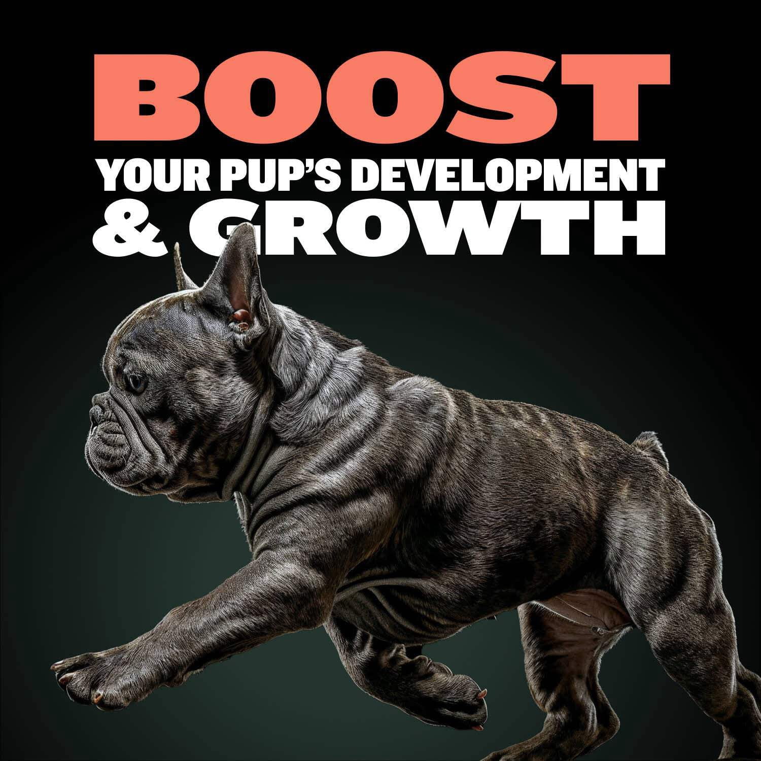 Bully Max Puppy Growth Chewable Tablets, 30 count Bottle