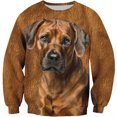thumbnail image 3 of Suéteres nuevos para hombre para otoño e invierno, sudaderas con capucha con estampado de perro y animal en 3D, sudaderas casuales de moda para deportes callejeros para hombre, 3 of 5