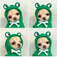 thumbnail image 2 of Turned Into Dogs Cats Small And Medium-sized Dogs Autumn And Winter Sweaters Fleece Clothes, 2 of 9