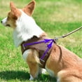 thumbnail image 5 of Dog No Pull Harness and Leash Set Adjustable Soft Mesh Step In Vest Reflective Pet Gear for Small Dogs Puppies Cats, 5 of 6