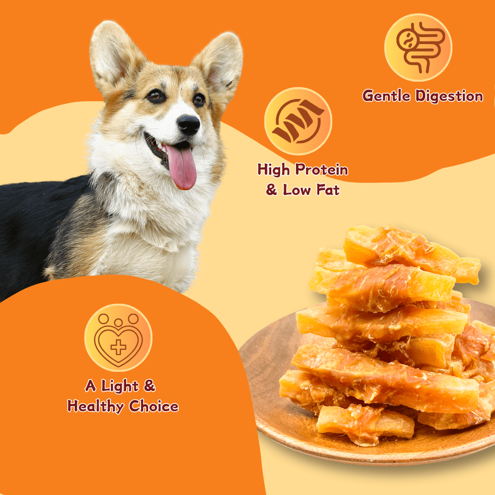 ComfyCradle Chicken Wrapped Sweet Potato Dog Treats, Grain-Free & High-Protein, 1.76 Pound