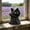 Yellow, variant on The Mysterious Cape Cats Statue, Gothic Black Cat Statue with Flowing Cape, Intricate Details and Intriguing Design, Perfect for Home Decor, Office, Art Collections, and Gift Ideas