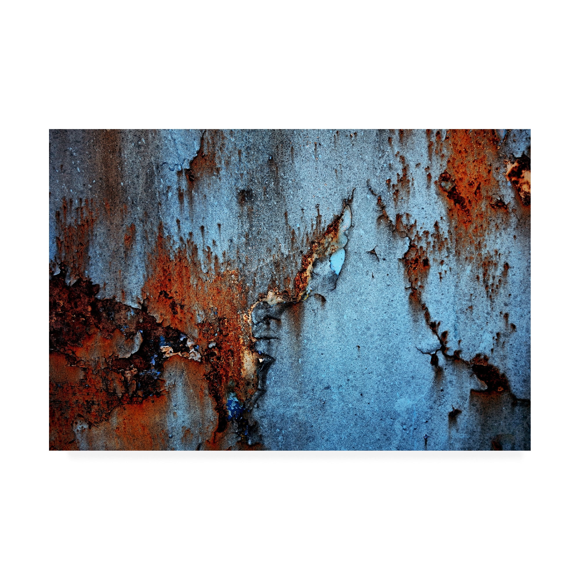 Trademark Fine Art 'Rust' Canvas Art by PhotoINC Studio